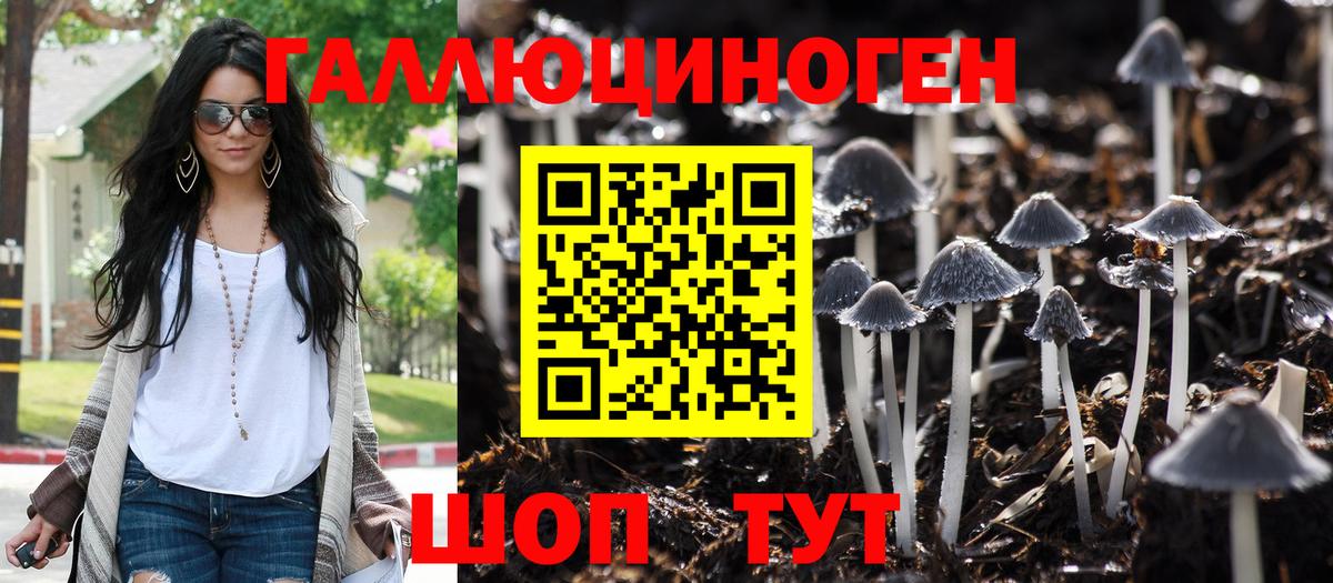 Галлюциногенные грибы Psilocybine cubensis  Галлюциногенные грибы Psilocybe  Архангельск  Вход с VPN 