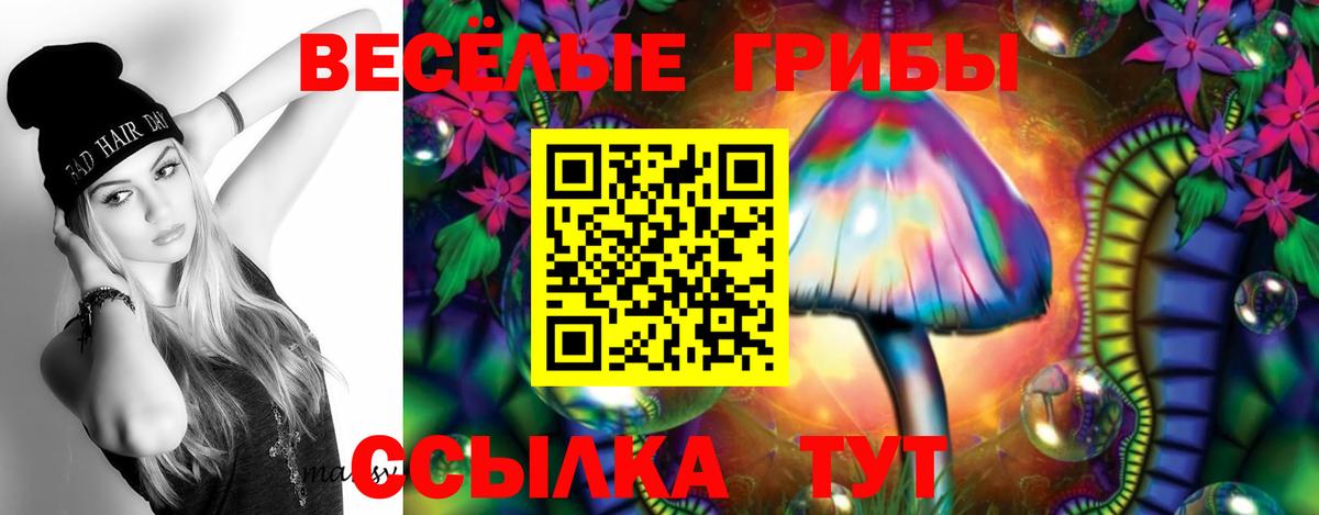 Псилоцибиновые грибы прущие грибы Архангельск